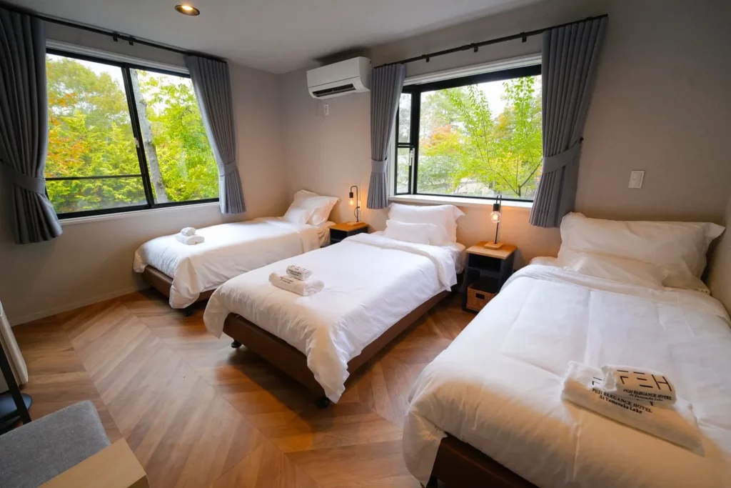Deluxe Twin room with private Bathroom (1)